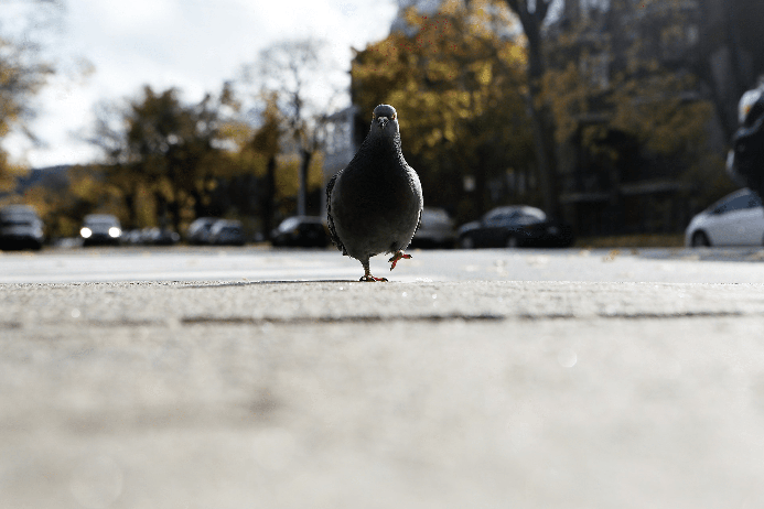 Go for a walk when you're bored!