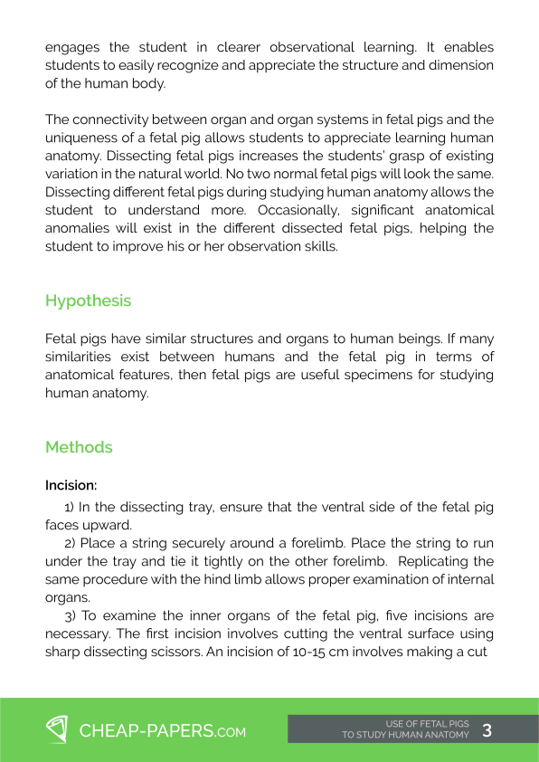 Lab Report Example 3